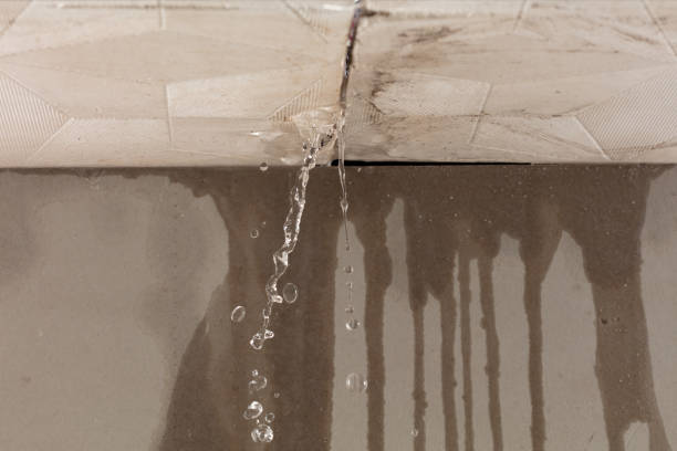 Professional Water Damage Repair technician working in Meyersville, TX